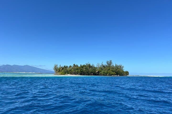 Lagoon Snorkel and Motu Lunch — Discover Moorea's Wild Coast photo 6