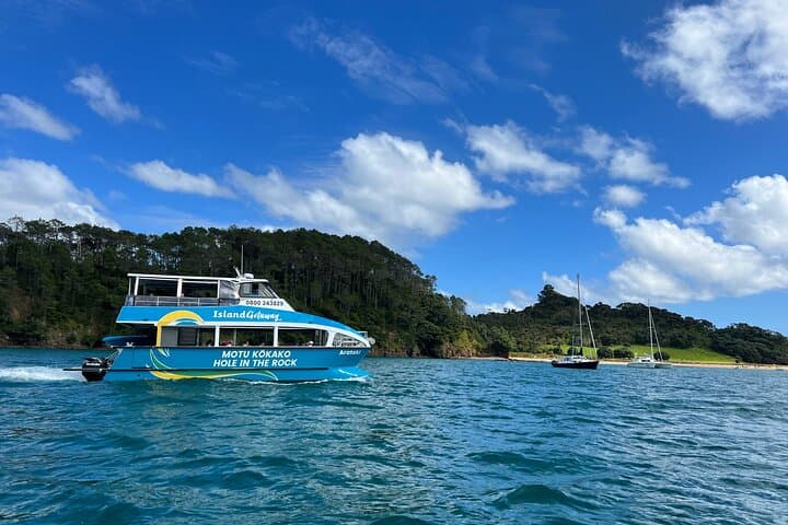 Bay of Islands Private Charter — Hole in the Rock Cruise with Island Stopovers photo 5