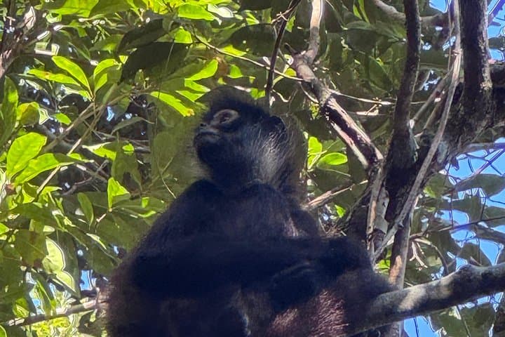Punta Laguna Adventure: Zipline, Mayan Ceremony & Cenote Swim near Tulum photo 3