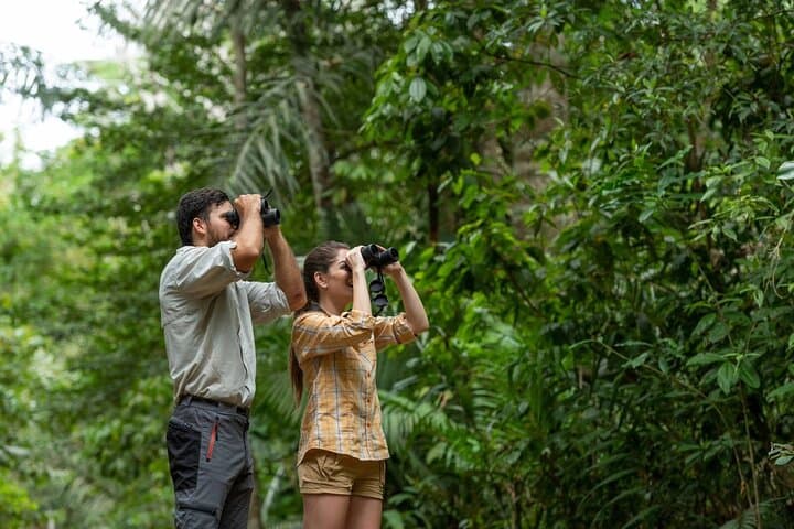 Birdwatching on Pipeline Road: Gamboa Discovery Center Day Trip photo 3