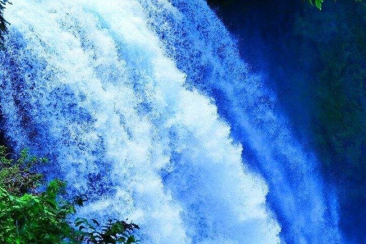 Shiraito Falls & Sengen Taisha: 6-Hour Guided Van to Mt. Fuji World Heritage Centre photo 2