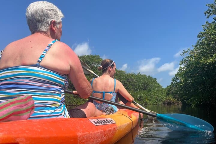 Snorkeling the Cenotes of Tulum: Explore Three Cave Types and an Underground River photo 5