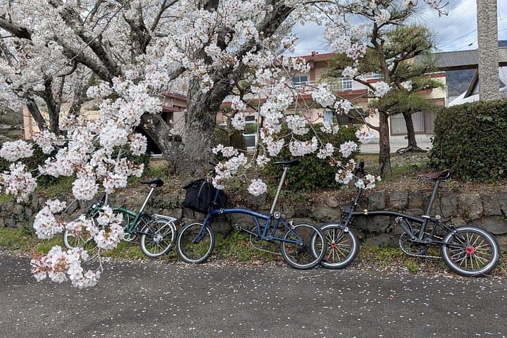 Riverside Cycling and Indigo Dyeing in Tokushima: 3-Hour Brompton Cultural Tour photo 3