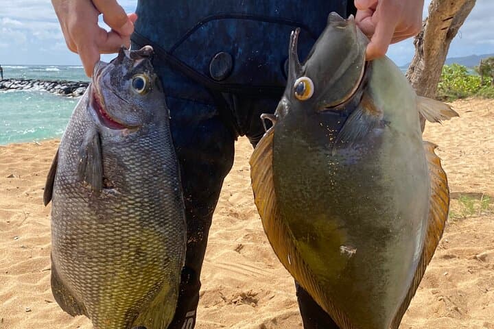Kauai Beginner Spearfishing Lesson: Learn Traditional Hawaiian Reef Techniques photo 5