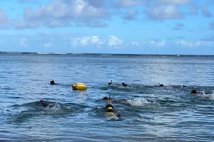 Kauai Beginner Spearfishing Lesson: Learn Traditional Hawaiian Reef Techniques photo 4