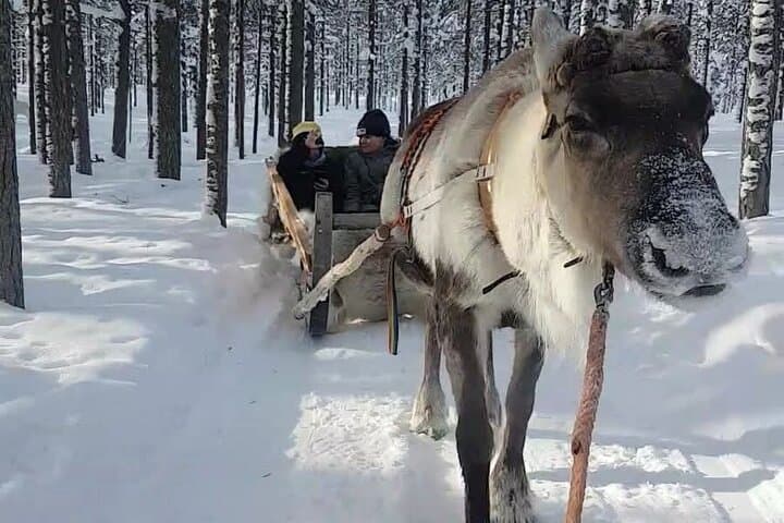 Private guiding services in Lapland with former Finnish Army guides photo 6