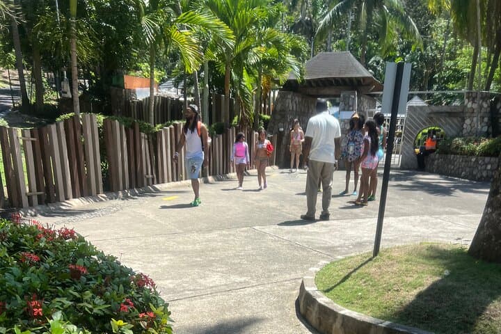 Dunns River Falls Day Trip from Montego Bay: Private Guided Climb & Swim