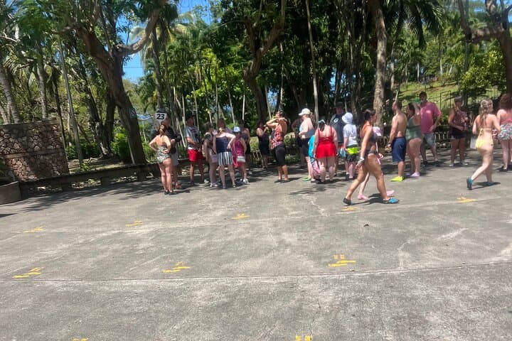 Dunns River Falls Day Trip from Montego Bay: Private Guided Climb & Swim photo 2