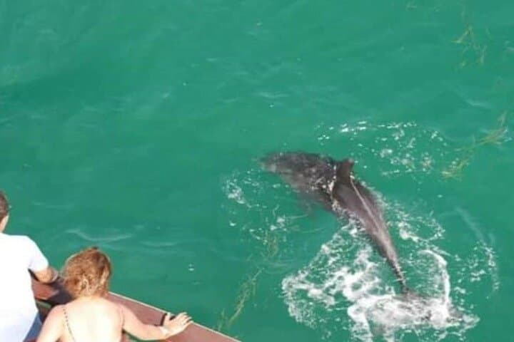 Djerba Jet Ski Adventure: Coastline Tour & Dolphin Encounters photo 6