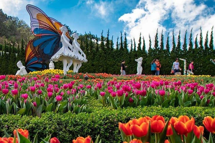 Ba Na Hills Day Trip from Da Nang — Golden Bridge & Sun World Adventure photo 3