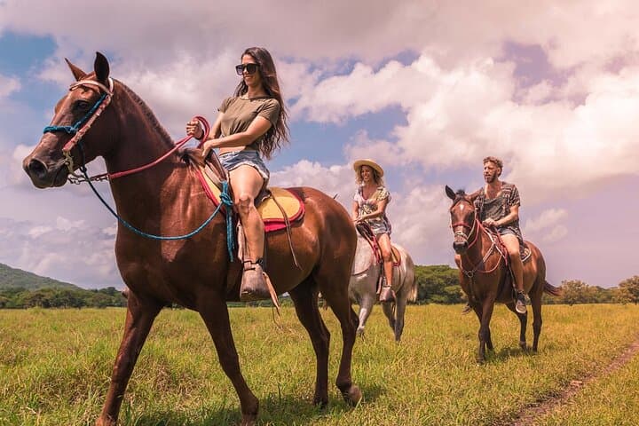 Explore Los Haitises National Park and Montaña Redonda: A Full-Day Adventure from Punta Cana photo 5