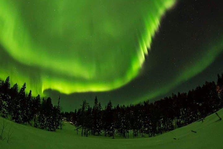 Rovaniemi Northern Lights Chase: Private Car Tours with Local Guides photo 2