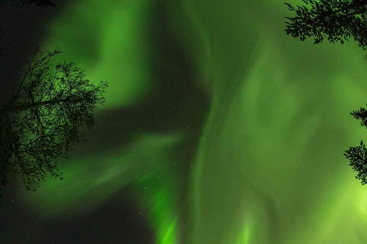 Rovaniemi Northern Lights Chase: Private Car Tours with Local Guides photo 5