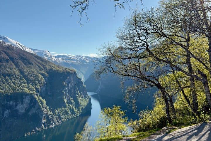 From Oslo to Geiranger: Hammock Camping on the Fjord photo 4
