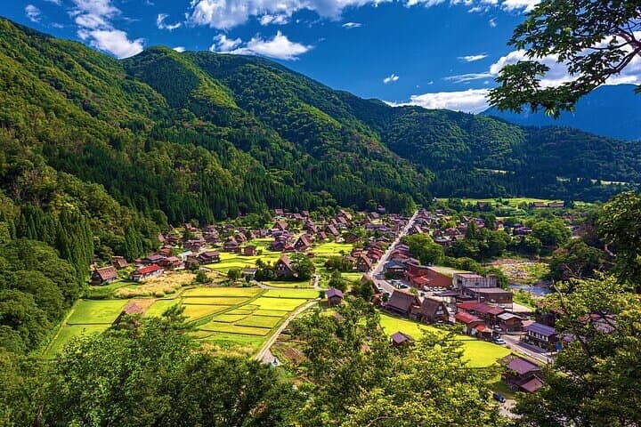Full-Day Takayama & Shirakawago Private Tour — Gassho Houses, Old Town & Observatory photo 3