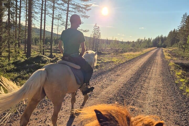 Horse Ride to Laenlammen Fell — 2-Hour Guided Lapland Trail