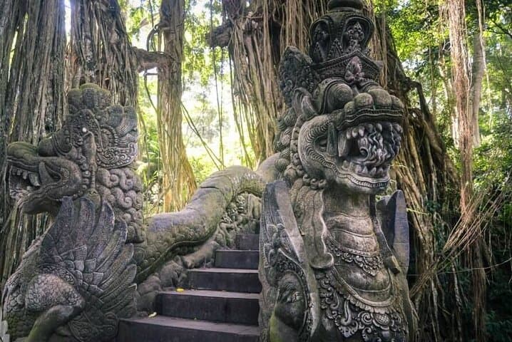 Best of Ubud: All-Inclusive Ubud Day Tour — Monkey Forest, Tegalalang & Tirta Empul