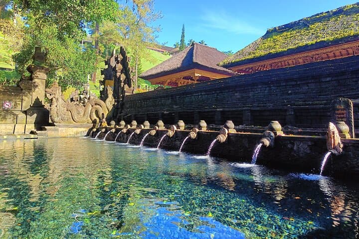 Best of Ubud: All-Inclusive Ubud Day Tour — Monkey Forest, Tegalalang & Tirta Empul photo 4