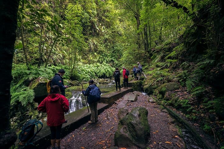 Levada Hidden Corners: Hiking Levada do Rei — Waterfalls & Rainforest on Madeira photo 2