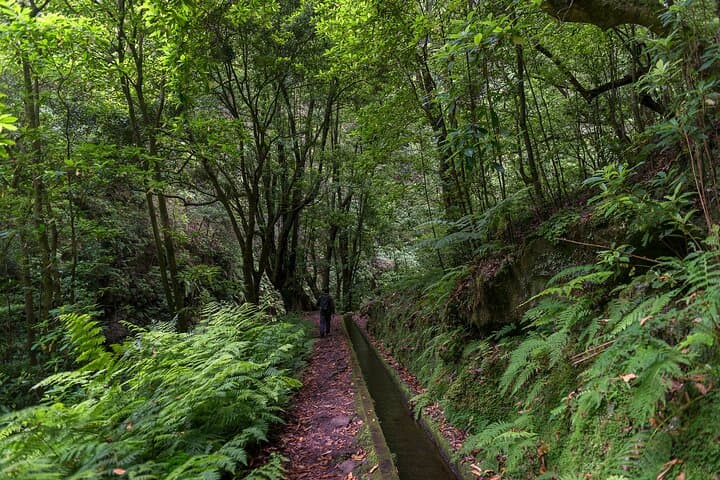 Levada Hidden Corners: Hiking Levada do Rei — Waterfalls & Rainforest on Madeira photo 4