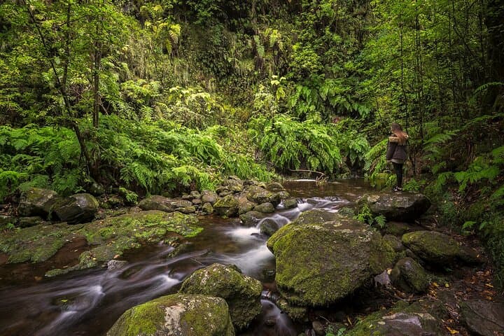 Levada Hidden Corners: Hiking Levada do Rei — Waterfalls & Rainforest on Madeira photo 3