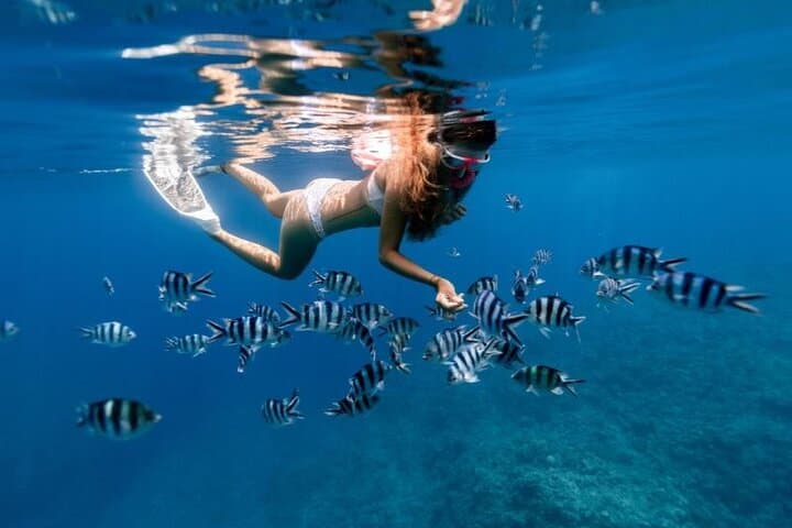 Mnemba Island Snorkeling: A Private Atoll Excursion from Zanzibar photo 2