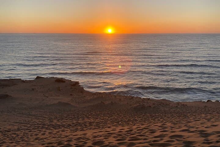 Sandboarding & Starry Dinner in Agadir Dunes: Timlalin Canyon to Ocean-View Sunset photo 5