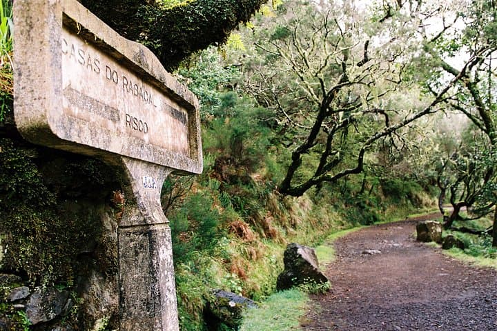 Rabacal Lakes and Fountains: Hike the 25 Fontes Levada in Madeira photo 6