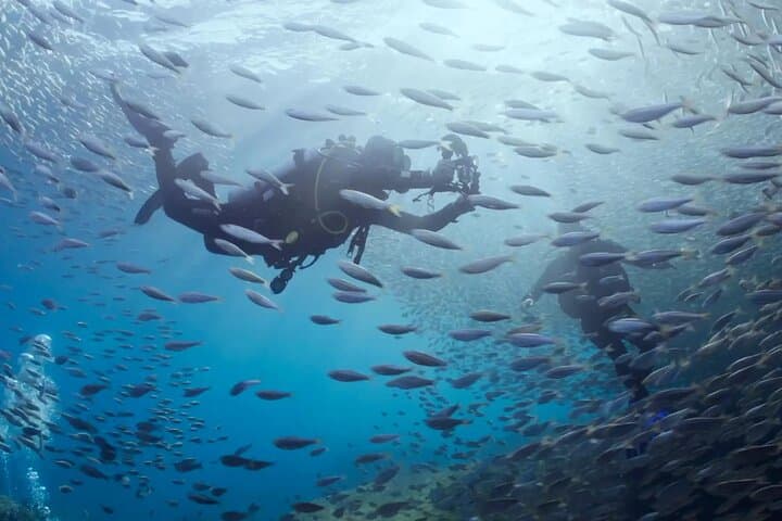 Cabo Pulmo Diving Adventure: Explore the Protected Reefs of the Sea of Cortez photo 3