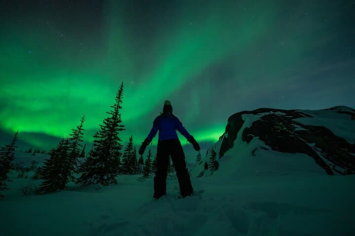 Churchill Aurora Adventure: Northern Lights, Dog Sledding & Tundra Nights
