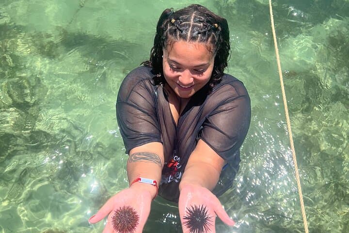Big Kahuna Shell Island Snorkel Cruise from Panama City Beach photo 5