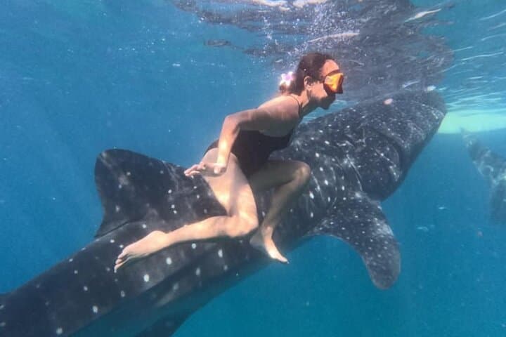 Cebu Splash Adventure: Whale Sharks & Badian Canyoneering Day Trip photo 3