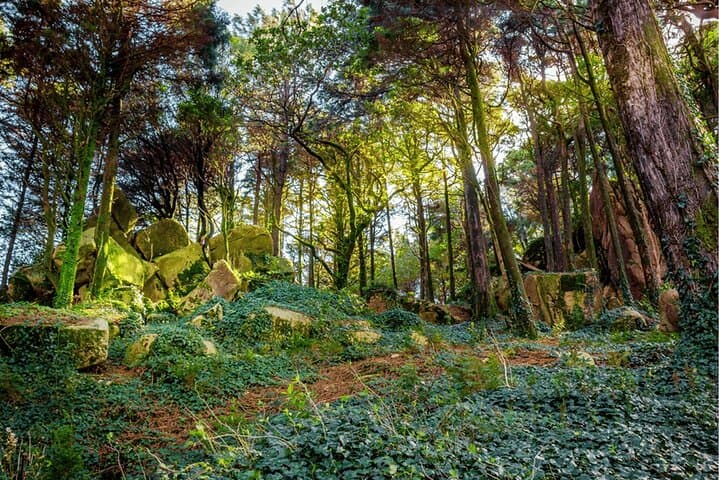 Sintra and Belém Day Tour from Lisbon: Pena Palace & Belém Highlights photo 6