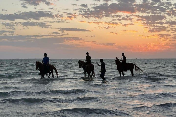 Horse Riding in Jeddah: Beach Rides Along Khalij Salman and the Red Sea