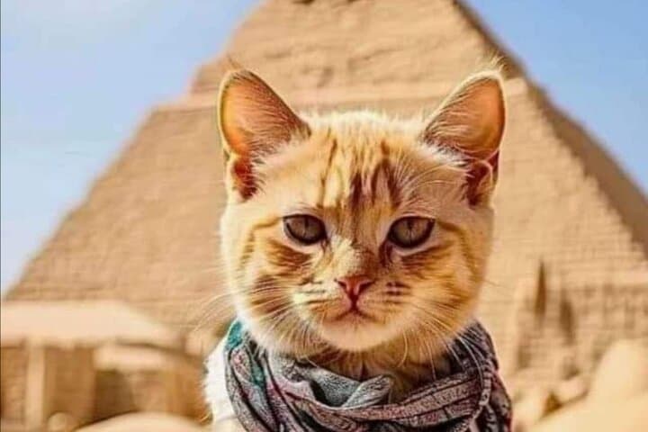 3-Day Private Cairo, Giza & Alexandria Tour with Camel Ride photo 6