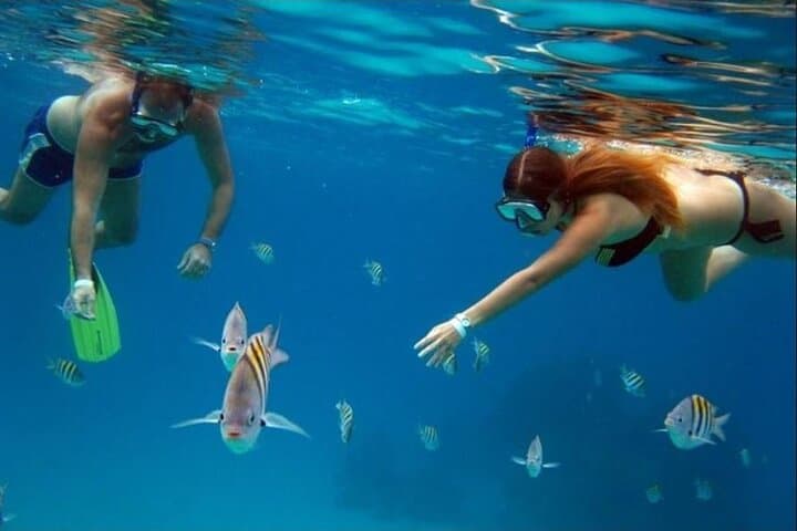 Chankanaab Eco Park & Beach Club Cozumel — Snorkel the Second-Largest Barrier Reef photo 4