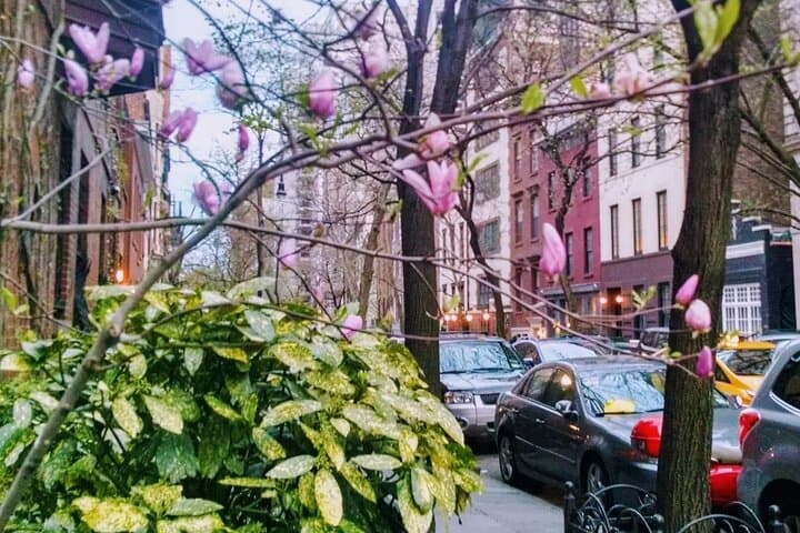 Flatiron to Gramercy: A Self-Guided Walk Through Manhattan’s Gilded Corners photo 4