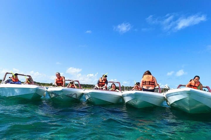 Punta Nizuc & Nichupté Lagoon Snorkel and Jungle Boat Adventure in Cancún photo 6