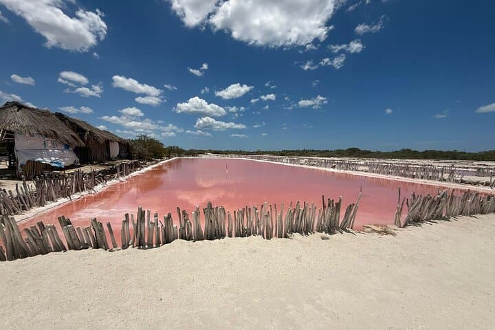 Progreso Pink Lagoon, Cenote & Salt Flats Day Trip from Merida photo 5