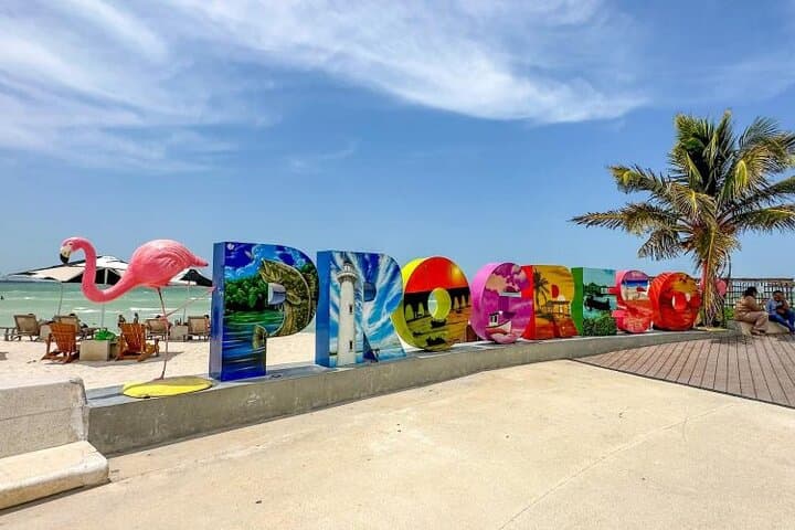 Progreso Pink Lagoon, Cenote & Salt Flats Day Trip from Merida