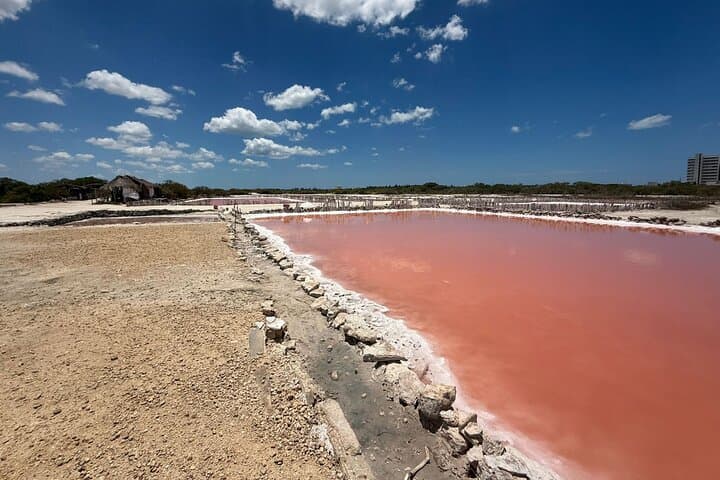 Progreso Pink Lagoon, Cenote & Salt Flats Day Trip from Merida photo 4