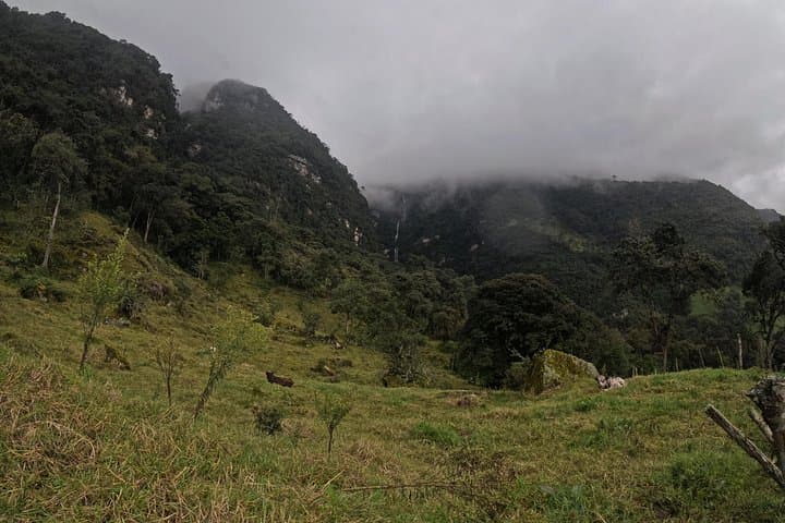 Hike to La Chorrera: Colombia’s Tallest Waterfall Near Bogotá photo 3