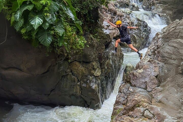 Private El Yunque Half-Day Rainforest Adventure with Transport photo 4