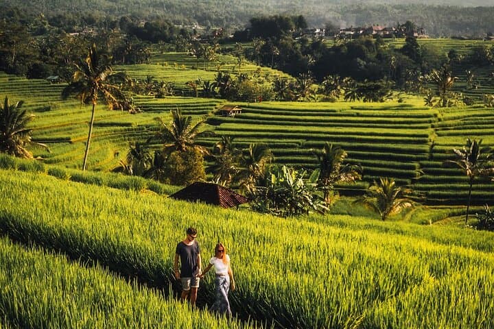 North Bali Private Trip: Jatiluwih Rice Terraces, Ulun Danu Temple & Leke-Leke Waterfall photo 4