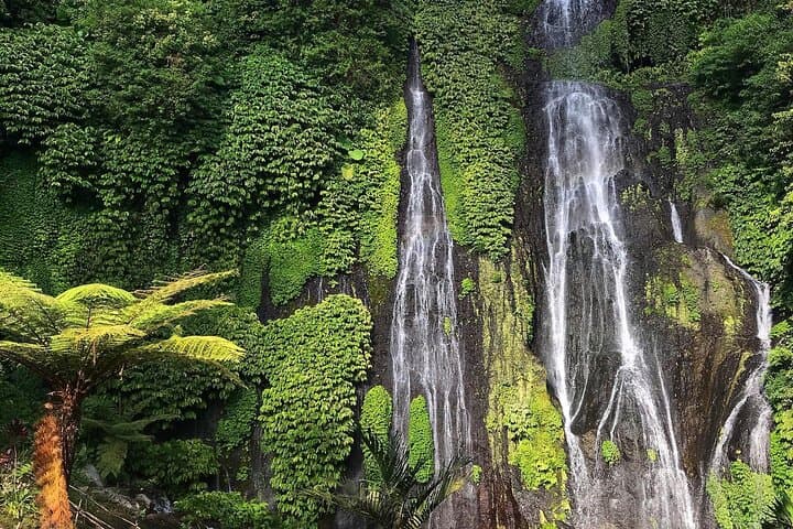 North Bali Private Trip: Jatiluwih Rice Terraces, Ulun Danu Temple & Leke-Leke Waterfall photo 6