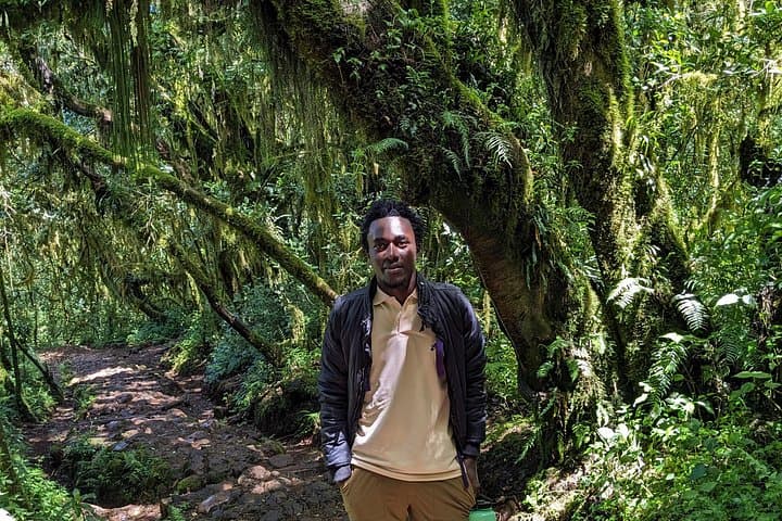 Kilimanjaro Day Trip to Mandara Hut via Marangu Route — Day Hike from Moshi photo 4