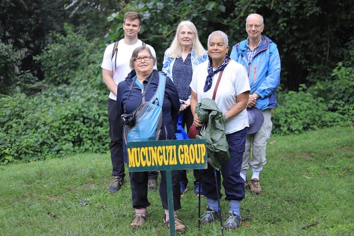 Bwindi Impenetrable 5-Day Gorilla & Chimp Trekking Safari from Entebbe photo 4