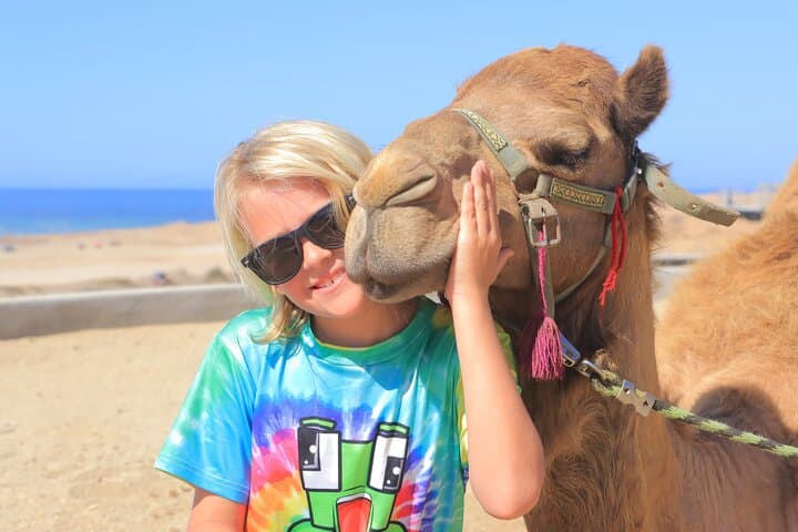 Dunes to Sea: Cabo Beach UTV, Camel & Horseback Adventure with Tequila Tasting photo 2