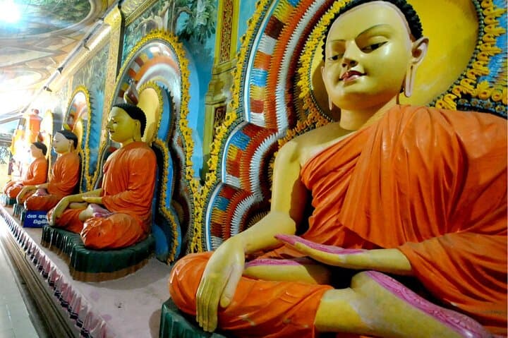 Negombo Half-Day: Fish Market, Dutch Canal & Ayurvedic Massage