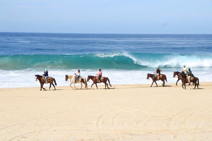 Ultimate Cabo Adventure: UTV, Horseback & Sky Bike Combo photo 2
